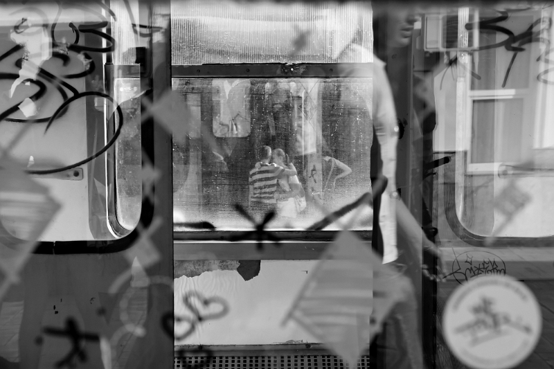 Carmen Ștefan Pelinel - Fereastra.jpg